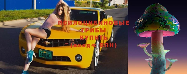 прущие грибы Козельск