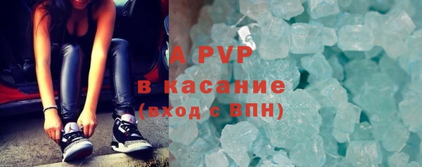прущие грибы Козельск