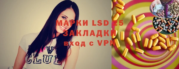 прущие грибы Козельск