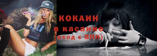 прущие грибы Козельск