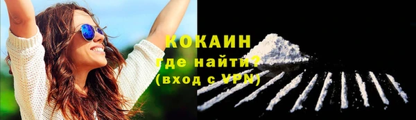прущие грибы Козельск