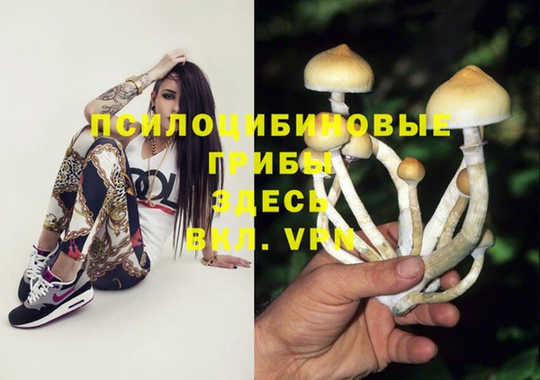 mdma Козловка