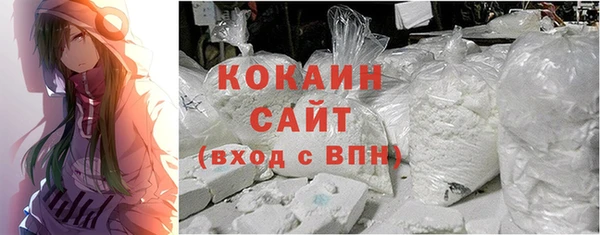 прущие грибы Козельск