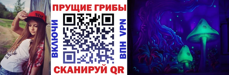 Купить  Злынка  Галлюциногенные грибы MAGIC MUSHROOMS 